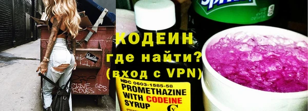 прущие грибы Михайлов