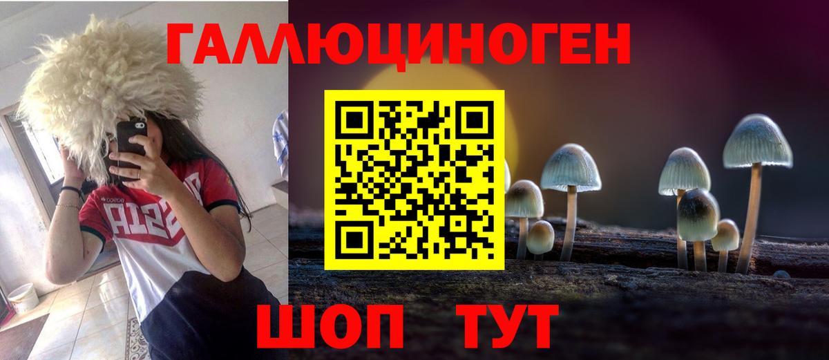 Галлюциногенные грибы Psilocybe Еманжелинск